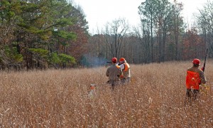 Fork_Farm_upland_hunting2